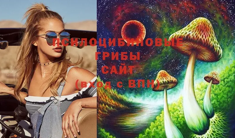 купить  цена  Енисейск  Галлюциногенные грибы Psilocybe 